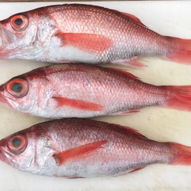 オーブンで美味しく美しく のどぐろの塩焼き レシピ 作り方 By 善ちゃん 楽天レシピ オーブンで美味しく美しく のどぐろの塩焼き レシピ 作り方 By 善ちゃん 楽天レシピ